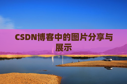 CSDN博客中的图片分享与展示